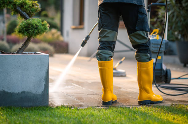 Best Pressure Washing Company Near Me  in Aviston, IL